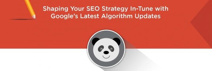 SEO-strategy-infographic